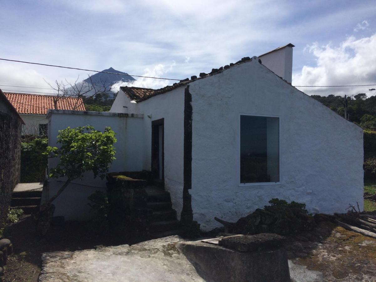 הוילה Santo Antonio  Casa Do Castanheiro מראה חיצוני תמונה