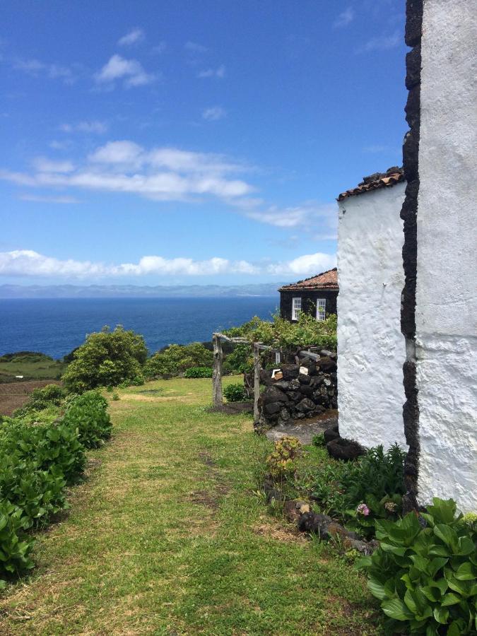 הוילה Santo Antonio  Casa Do Castanheiro מראה חיצוני תמונה